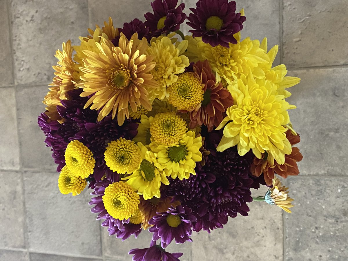 LauraFoell's tweet photo. Farmer Bill got me flowers for National
Bosses Day! Here’s to all the farm partners who appreciate the work that all of us contribute to feeding and fueling the world. #farmwives #NationalBossDay https://t.co/aKFNYS9prW
