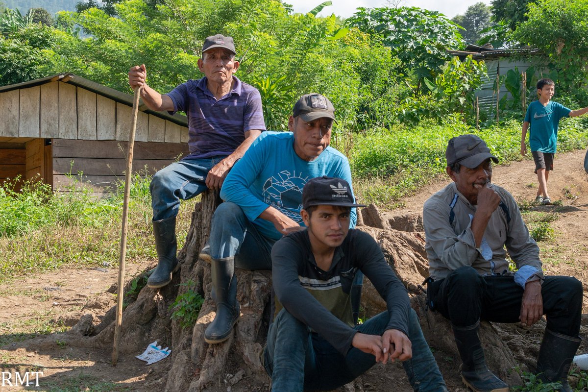 Factor 4 tweet media