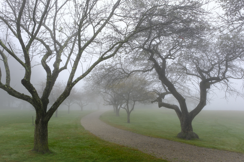 fairfieldprep's tweet image. Talented photographer Chaplain Fr. Ron Perry, S.J., explored the beautiful foliage and nature in the foggy mist in Topsmead and Kent Falls state parks. Finding God in all things and caring for #OurCommonHome is Prep's school theme of the year with our Jesuit mission. #BeIgnited