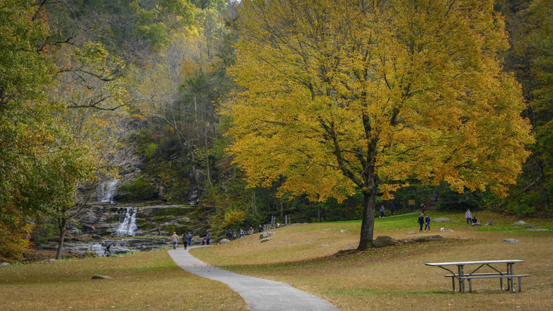 fairfieldprep's tweet image. Talented photographer Chaplain Fr. Ron Perry, S.J., explored the beautiful foliage and nature in the foggy mist in Topsmead and Kent Falls state parks. Finding God in all things and caring for #OurCommonHome is Prep's school theme of the year with our Jesuit mission. #BeIgnited