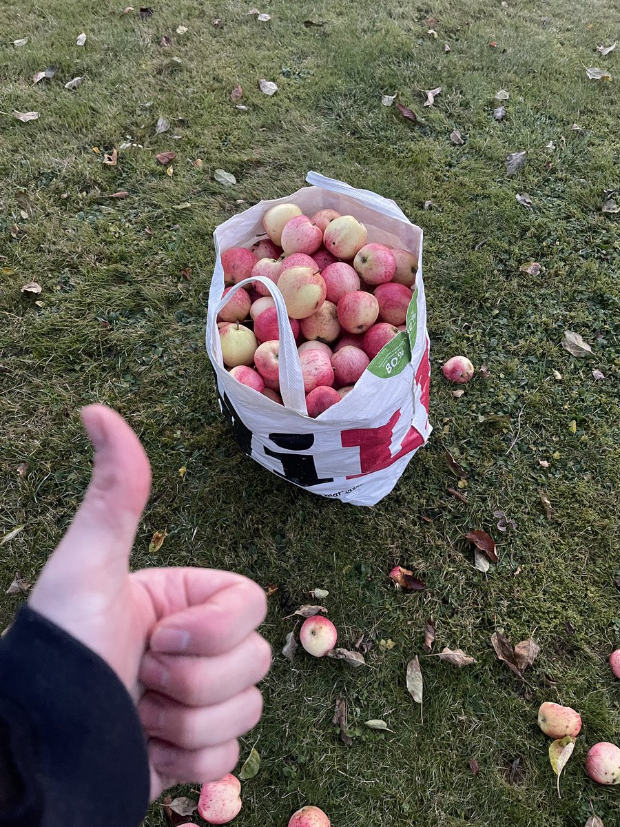 Sneaky Media Group tweet media