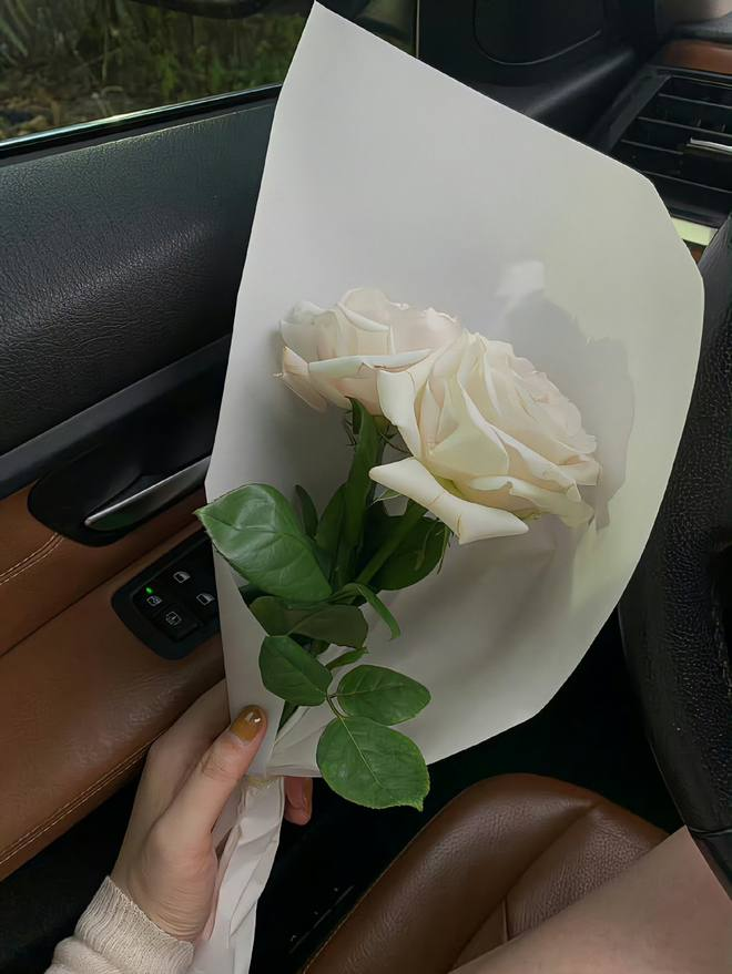 White Rose