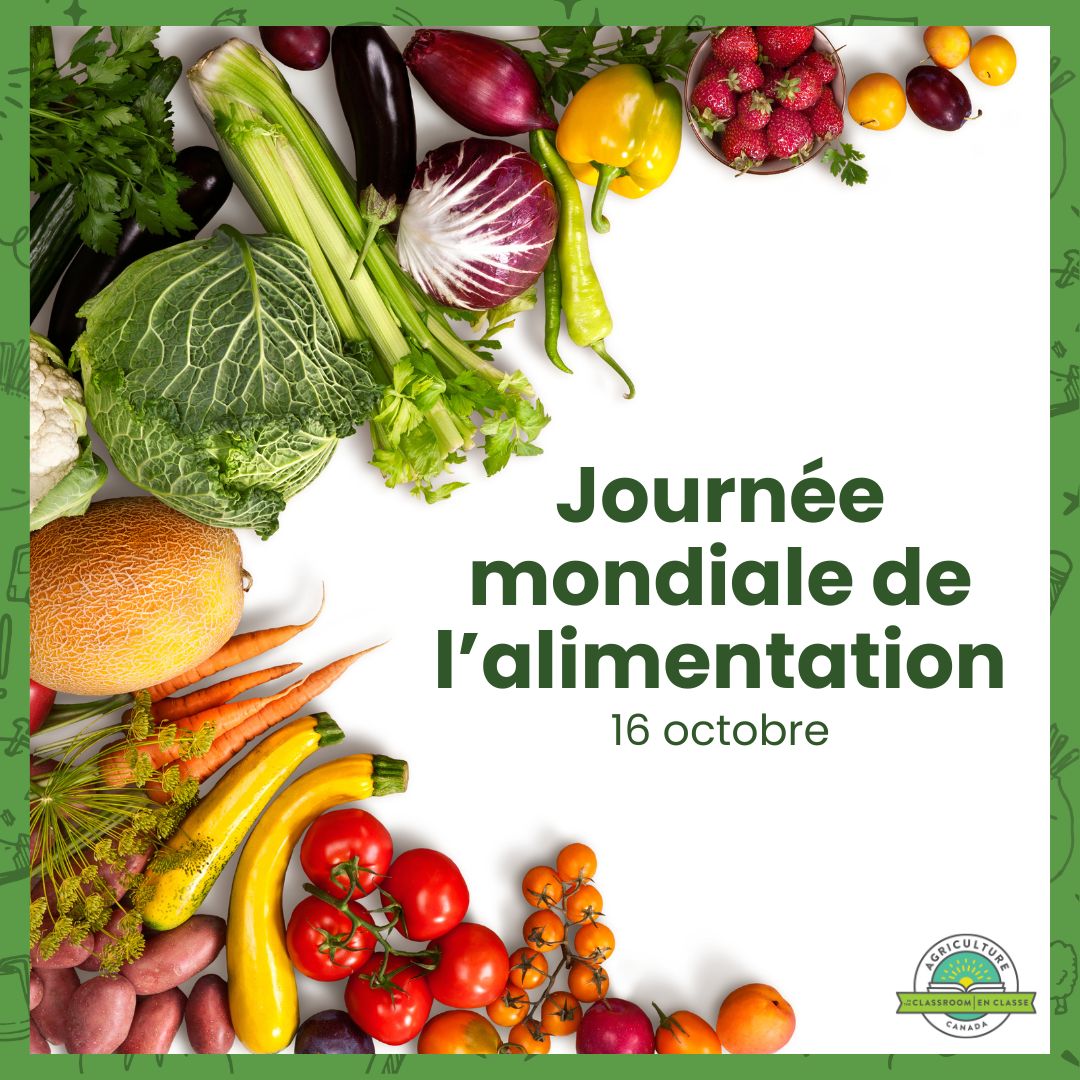AITCCanada's tweet photo. This #WorldFoodDay, we’re celebrating the hardworking Canadian farmers who feed our communities and the world! From coast to coast, they grow the food we rely on with passion, innovation and a commitment to sustainability.   

Today and every day, let’s recognize their vital role in feeding the future. 🍽️ 
. 
. 
En cette #JournéeMondialeDeLAlimentation, nous célébrons les agriculteurs canadiens qui œuvrent sans relâche pour nourrir nos communautés et le monde entier ! D'un océan à l'autre, ils cultivent avec passion, innovation et un engagement envers la durabilité les aliments dont nous dépendons.   

Aujourd'hui et chaque jour, reconnaissons leur rôle essentiel pour assurer notre avenir alimentaire. 🍽️  

#aecc #ThankAFarmer #foodsecurity #AITCC