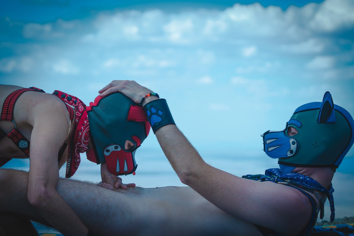 K9_Buster 🐶🐾 tweet media