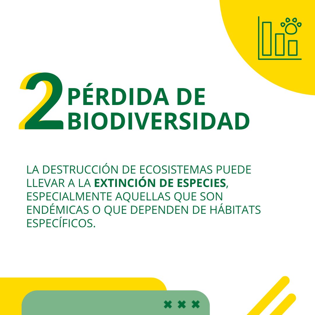 cascosverdes's tweet photo. La temática del mes: INCENDIOS FORESTALES 🔥

¿Sabés cuáles son las consecuencias? Deslizá y entérate 🌳

#CascosVerdes #IncendiosForestales #Ecosistema https://t.co/HpotjScVAy