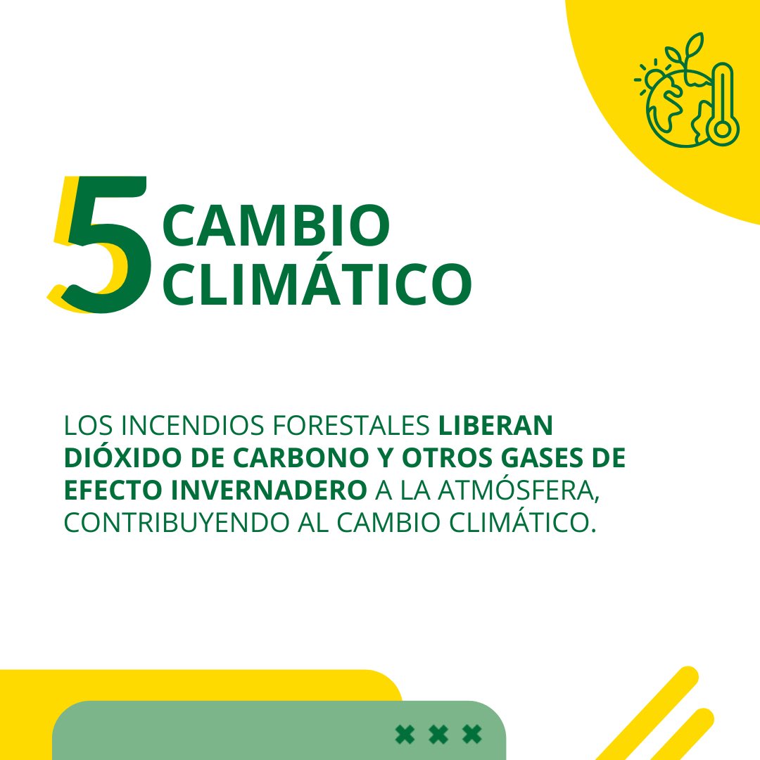 cascosverdes's tweet photo. https://t.co/gRnoBt32e7