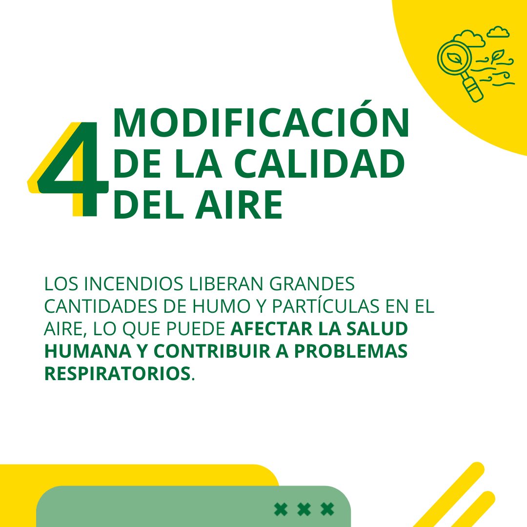cascosverdes's tweet photo. https://t.co/gRnoBt32e7