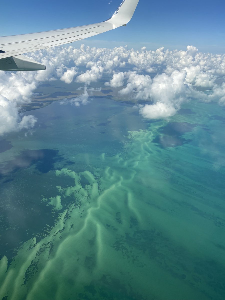 TikTok shop accounts are getting banned left and right

The reason is because they figured out we're buying accounts, but I just found a new way to grow your account to 5k in just a few days and you won't get banned.

It's actually better for your video reach too, higher chance