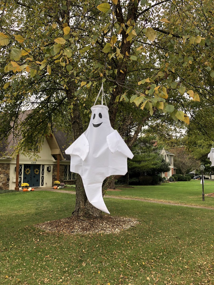 MAD Pritch 🌹 tweet media