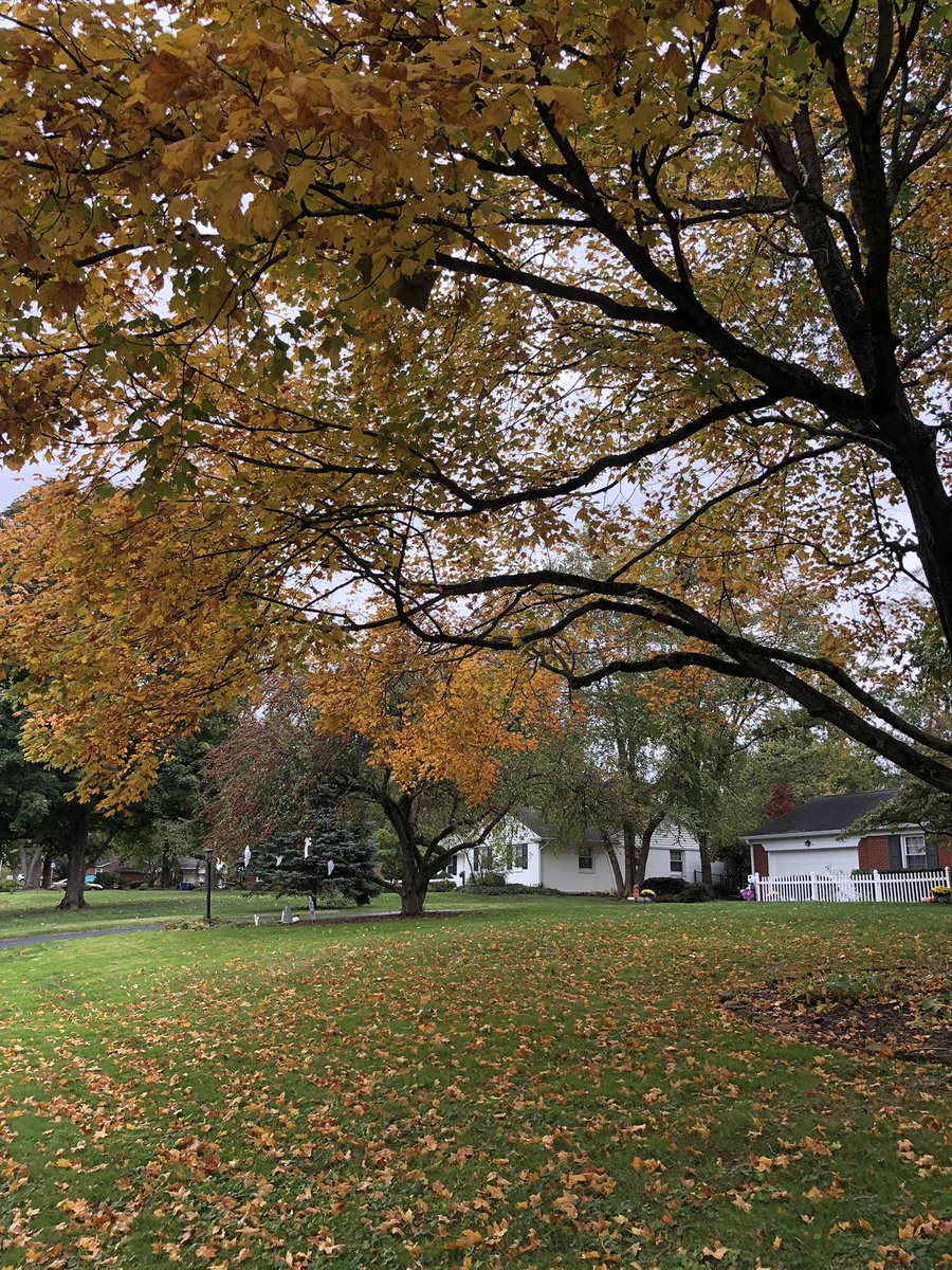 MAD Pritch 🌹 tweet media