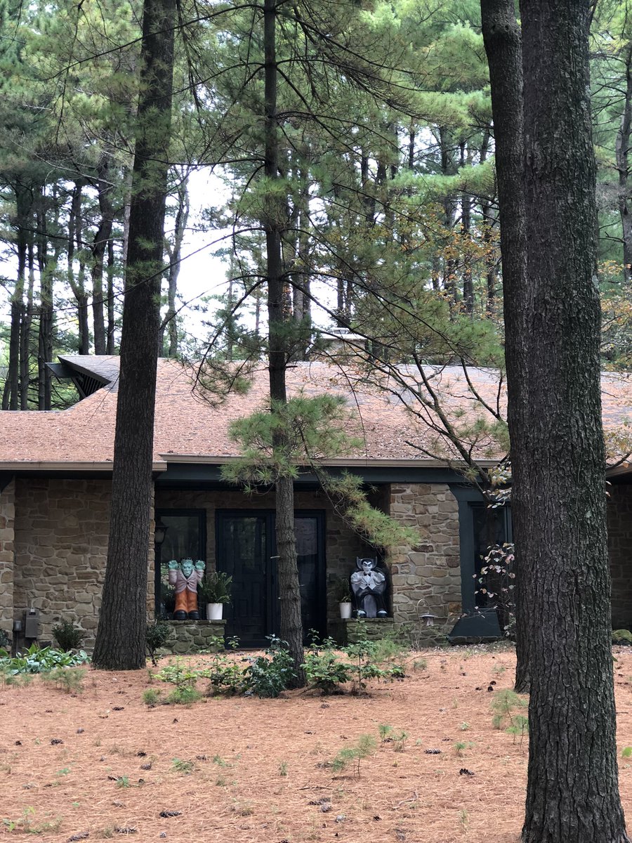 MAD Pritch 🌹 tweet media