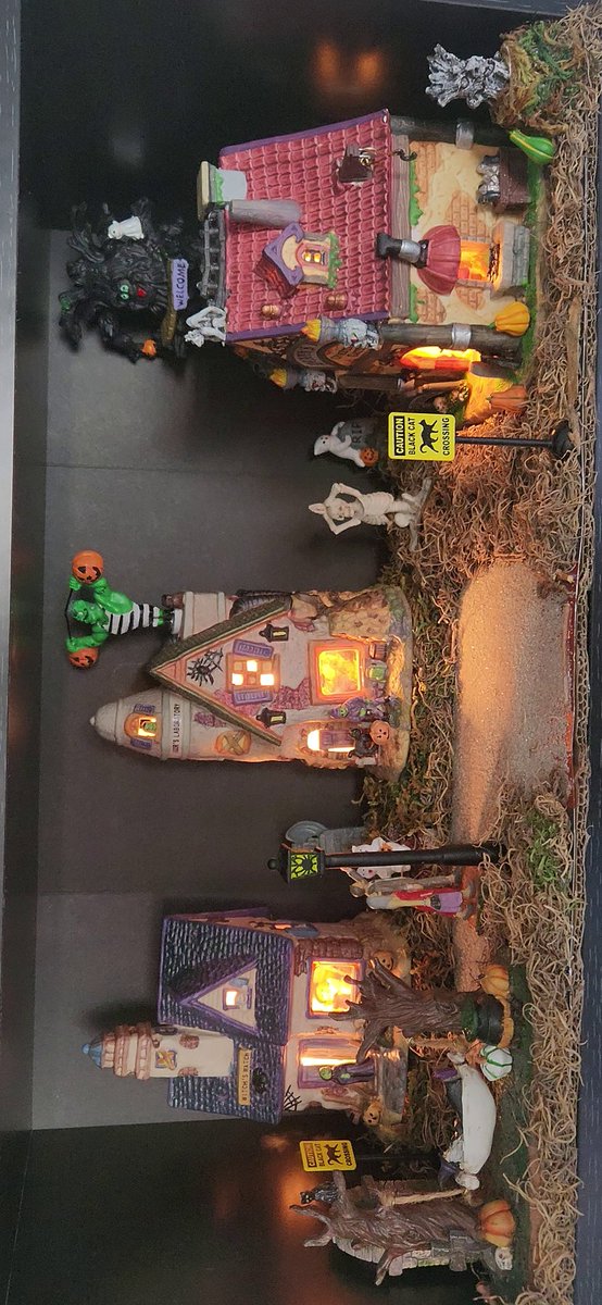 HallDrago's tweet photo. Halloween Shelf #spookytober https://t.co/HNcH2UieK2