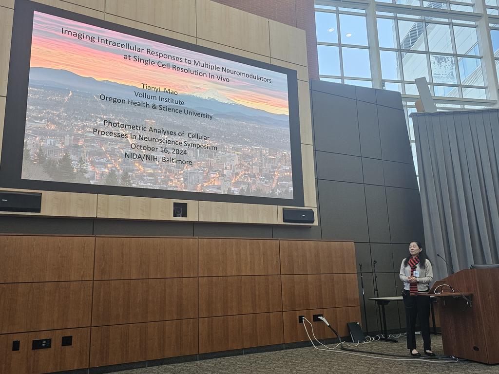 William Sánchez tweet media