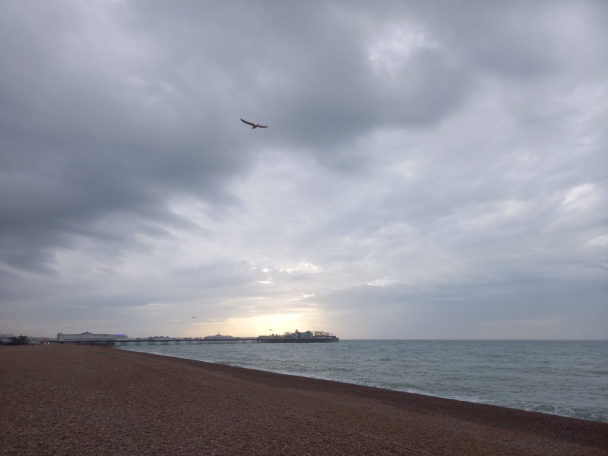 Brighton cheerful CXCVIII