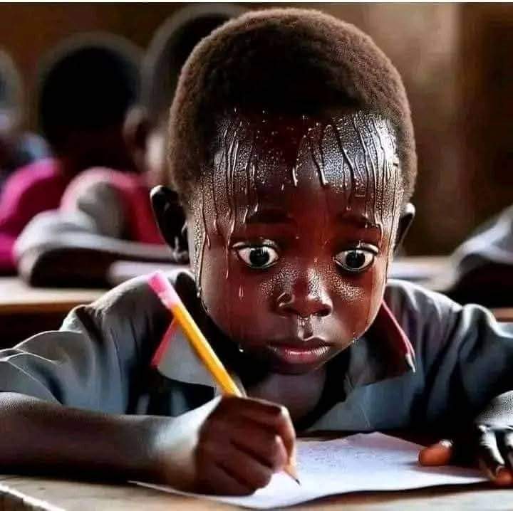 Question 1 (Compulsory) State 3 positive projects or policies that President Tinubu will use as a template to campaign come 2027..🤣🤣🤣🤣🤣