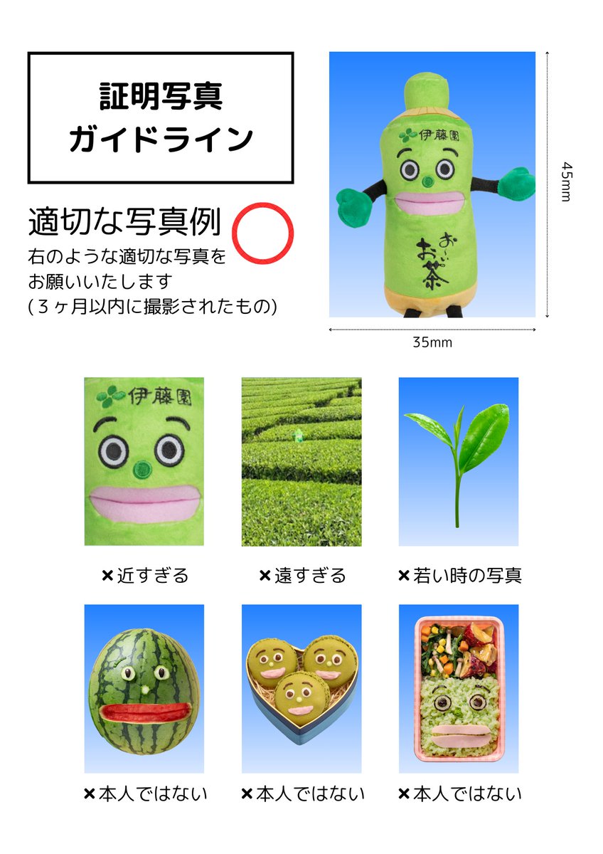 oiochakun's tweet photo. お〜いお茶くんで学ぶ、証明写真のいい例と悪い例
（流行に乗ってみました💡）

#証明写真風 https://t.co/9XmgdjnP5c