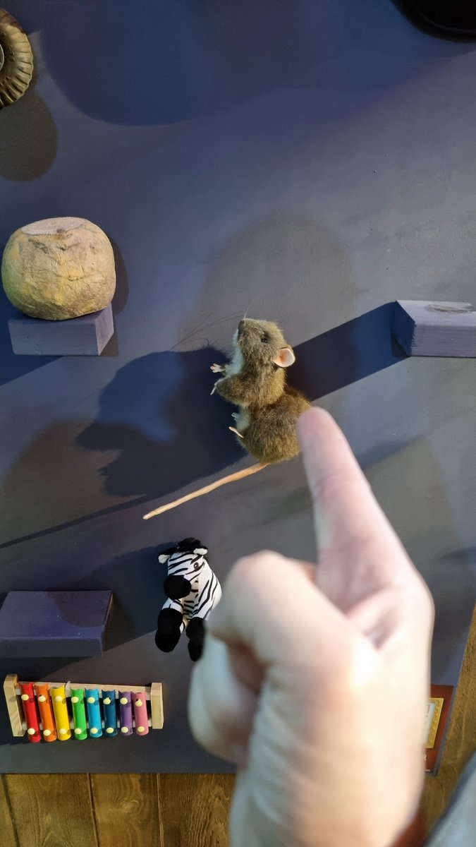 Christopher Hardie tweet media