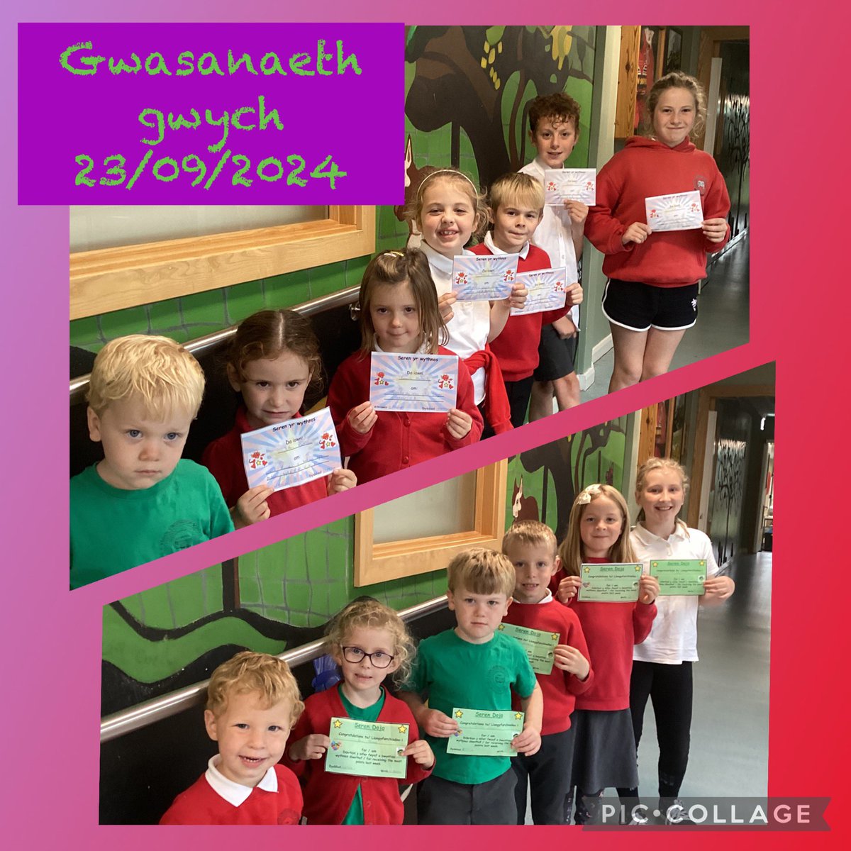 Ysgol Gymraeg Croesgoch tweet media