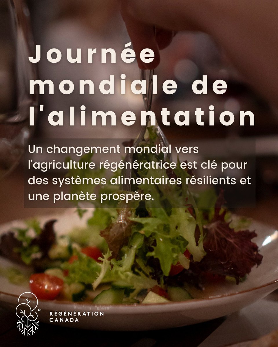 regenerationcan's tweet photo. 🌍 Pour la Journée mondiale de l'alimentation, nous mettons en lumière le besoin urgent d'un changement vers l'agriculture régénératrice pour des systèmes alimentaires résilients.
Trouvez des fermes régénératrices sur notre Carte de fermes 👉 https://t.co/zhuV8S8dwc
#AgCdn https://t.co/zOy3uVMsW9