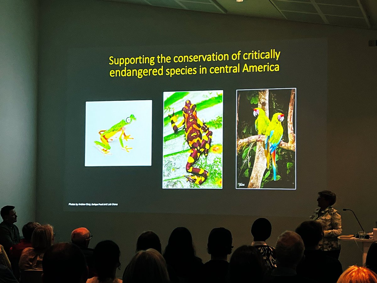 Anna-Maria White 🐸 🌎 tweet media