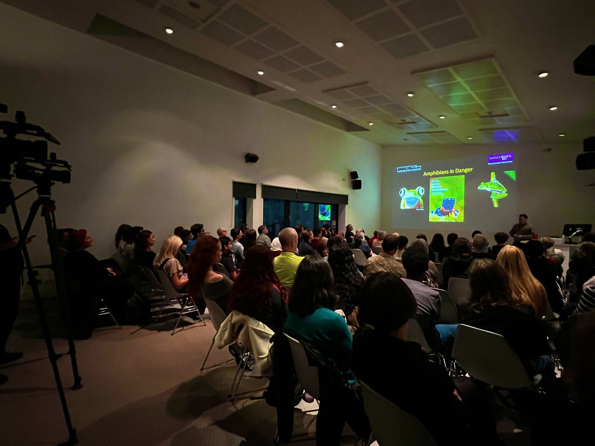 Anna-Maria White 🐸 🌎 tweet media