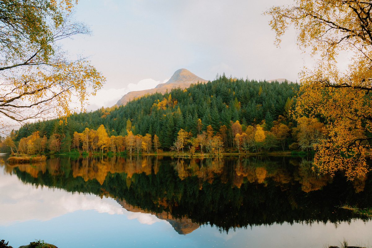 DanielCasson1's tweet photo. Scotland 🐮🍂 // https://t.co/1Dfj8SSLpc