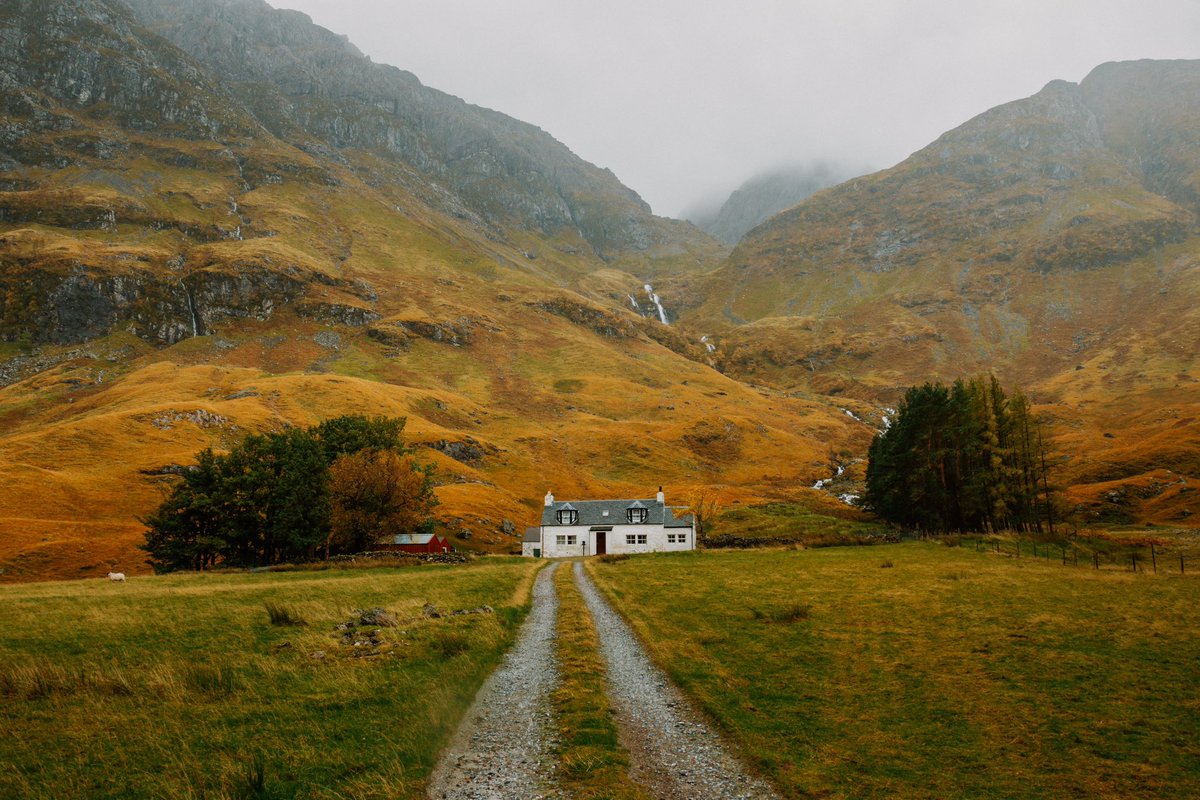 DanielCasson1's tweet photo. Scotland 🐮🍂 // https://t.co/1Dfj8SSLpc