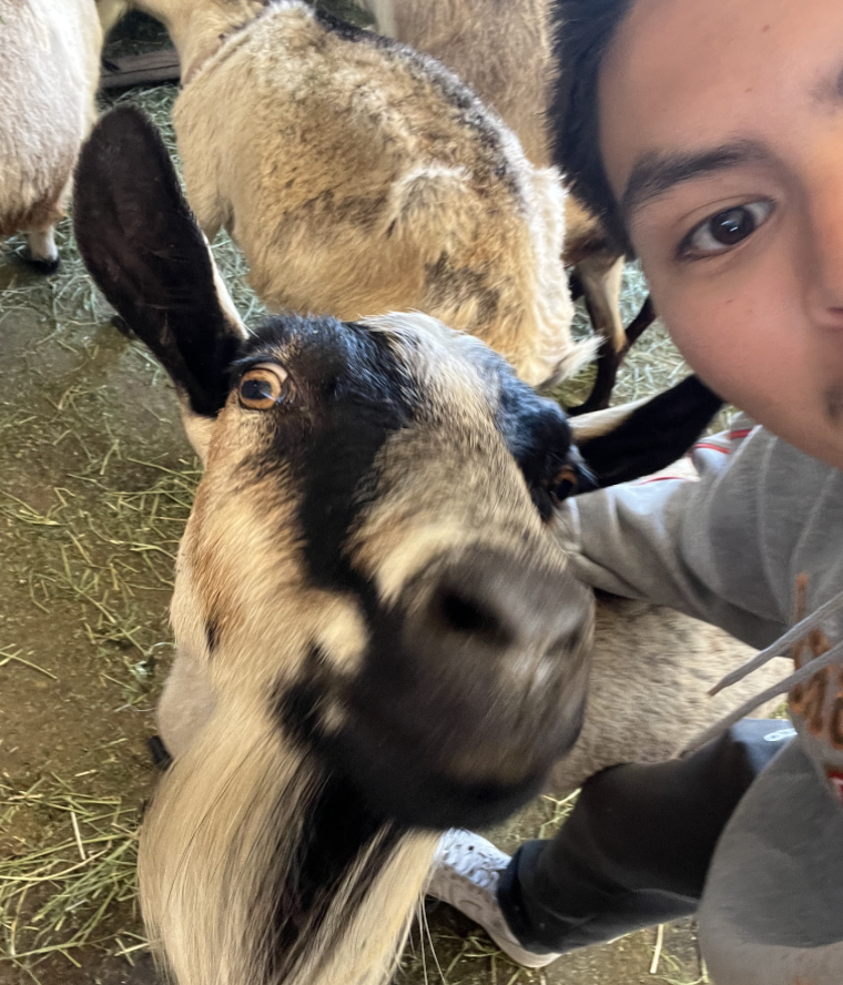 Enterprise for Youth tweet media