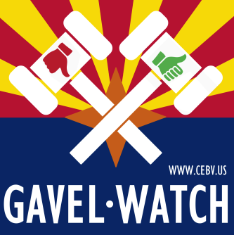 AZLD5Dems tweet media