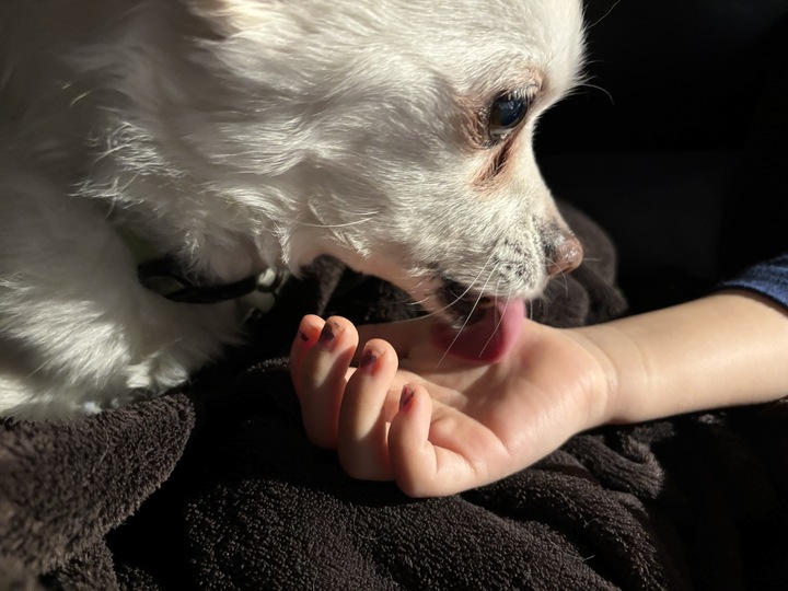 Cashew is loving all the support she's receiving as we approach the spookiest time of all - midterm season! Happy Cashew Monday!