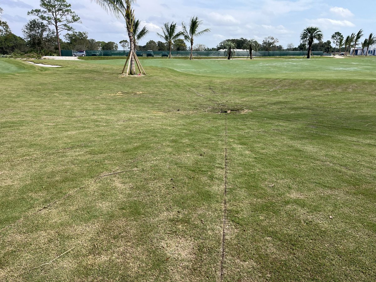 tonynyssegcs's tweet photo. Like the thief in the night, it’s hard to tell that @A_drainage18 was even there. #Weecourse https://t.co/9OENkUbfSE