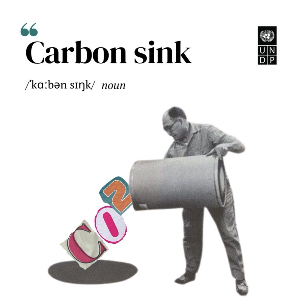 🌱What is a "Carbon sink" according to <a href="/UNDP/">UN Development</a>'s #ClimateDictionary: Nature Edition?

Learn more: climatepromise.undp.org/news-and-stori…