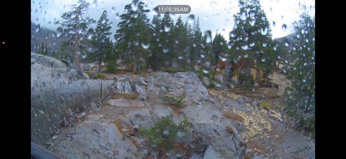 Echo Cam tweet media