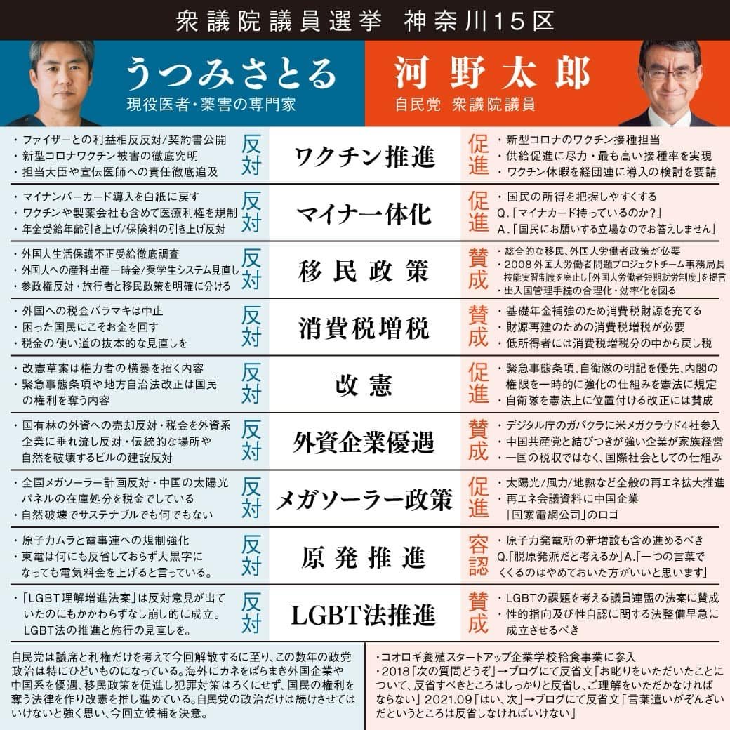 衆議院議員選挙
神奈川15区
日本の文化と、日本人の未来を
守ろうとしているのはどっち？