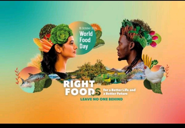 NDDI_Africa's tweet photo. Commemorating #WorldFoodDay2024, we recognize the fundamental right to food for all and its role in shaping a better life &amp; future. With ~100M Nigerians facing food insecurity in 2024, urgent action is needed. Investing in sustainable agriculture &amp; reducing food waste is key. https://t.co/xbBRzNAS0B