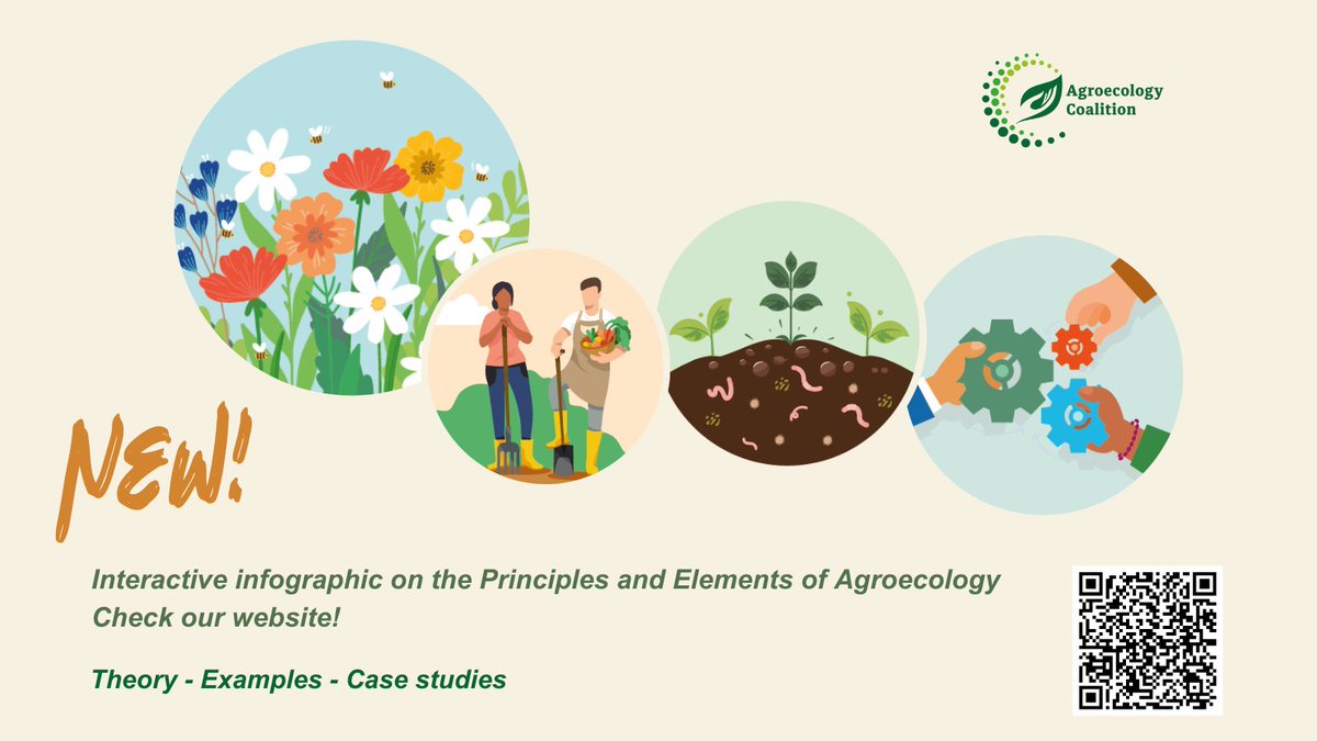Today we celebrate #WorldFoodDay!

🌱 👩‍🌾 The future of food systems is #agroecology—a solution that tackles climate, biodiversity, and hunger crises all at once.

Explore <a href="/AgroecologyGoal/">Agroecology Coalition</a>'s new interactive infographic to dive into its theory and practice: buff.ly/3BAydl3
