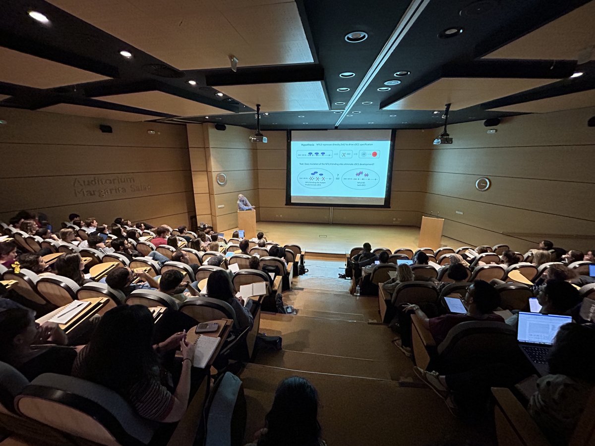 CNIOStopCancer's tweet photo. Full house at #CFM_Immunomodulation.👏
🫂With the support of @CaixaResearch https://t.co/biJfX2GhhH