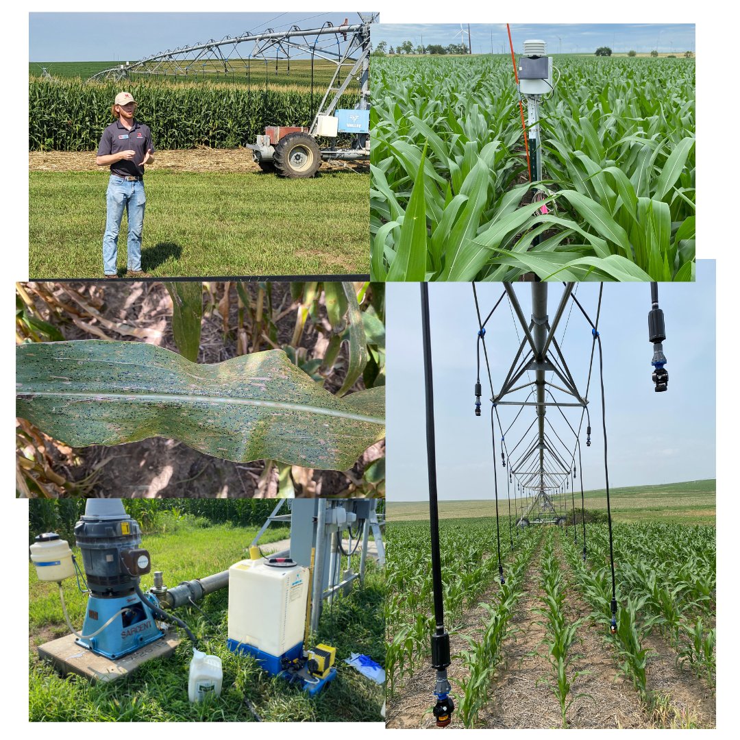 The FarmBits Podcast tweet media