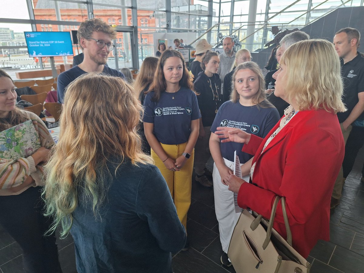 TimBirchWild's tweet photo. Inspiring speeches from young people at #Senedd today about their hopes for #nature recovery in Wales and what @WelshGovernment need to do to restore wildlife. Politicians present heard them loud and clear! @huw4ogmore @CThomasMS @WTWales @CraigBennett3 @IoloWilliams2 @WTWales https://t.co/1j6i3FvyPh