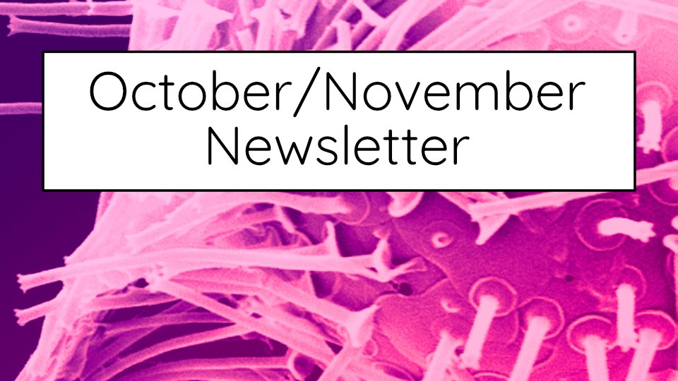 Pixelache tweet media