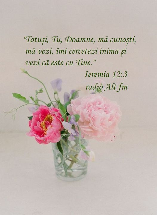 TimoteiOtniel's tweet photo. https://t.co/tQbVGF662W