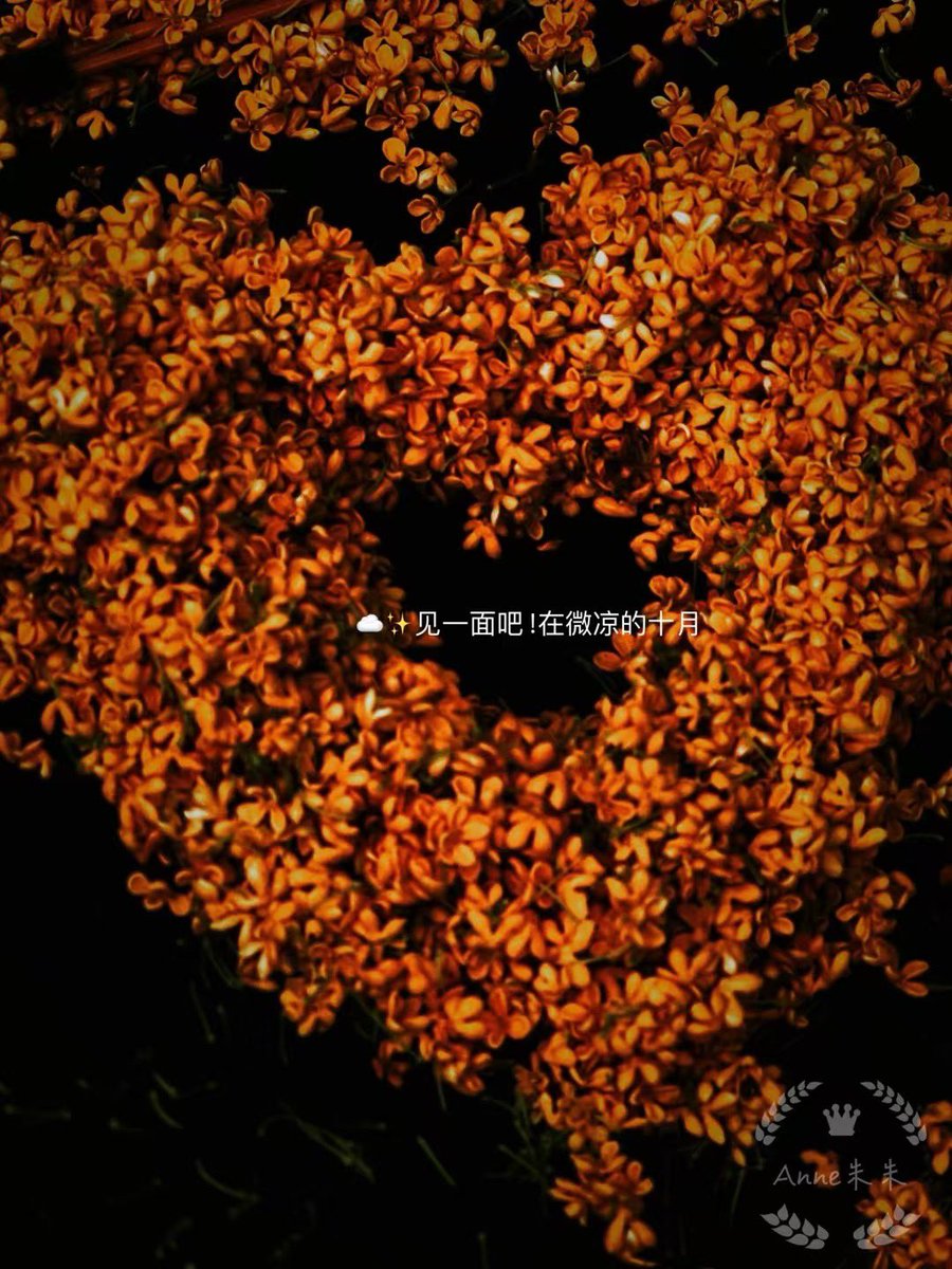 一夜桂花雨，满城桂花香。