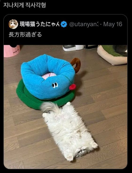 일상다반사 (@day_off_daying) on Twitter photo 