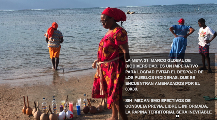 ofraneh's tweet photo. La #COP16  es un evento que marcará el futuro de los pueblos, los que nos encontramos bajo enormes presiones territoriales por parte del extractivismo y  estados-nación que desconocen el derecho a la consulta previa, libre e informada. El 30X30 se ha convertido en una amenaza https://t.co/RMD0ripuVD