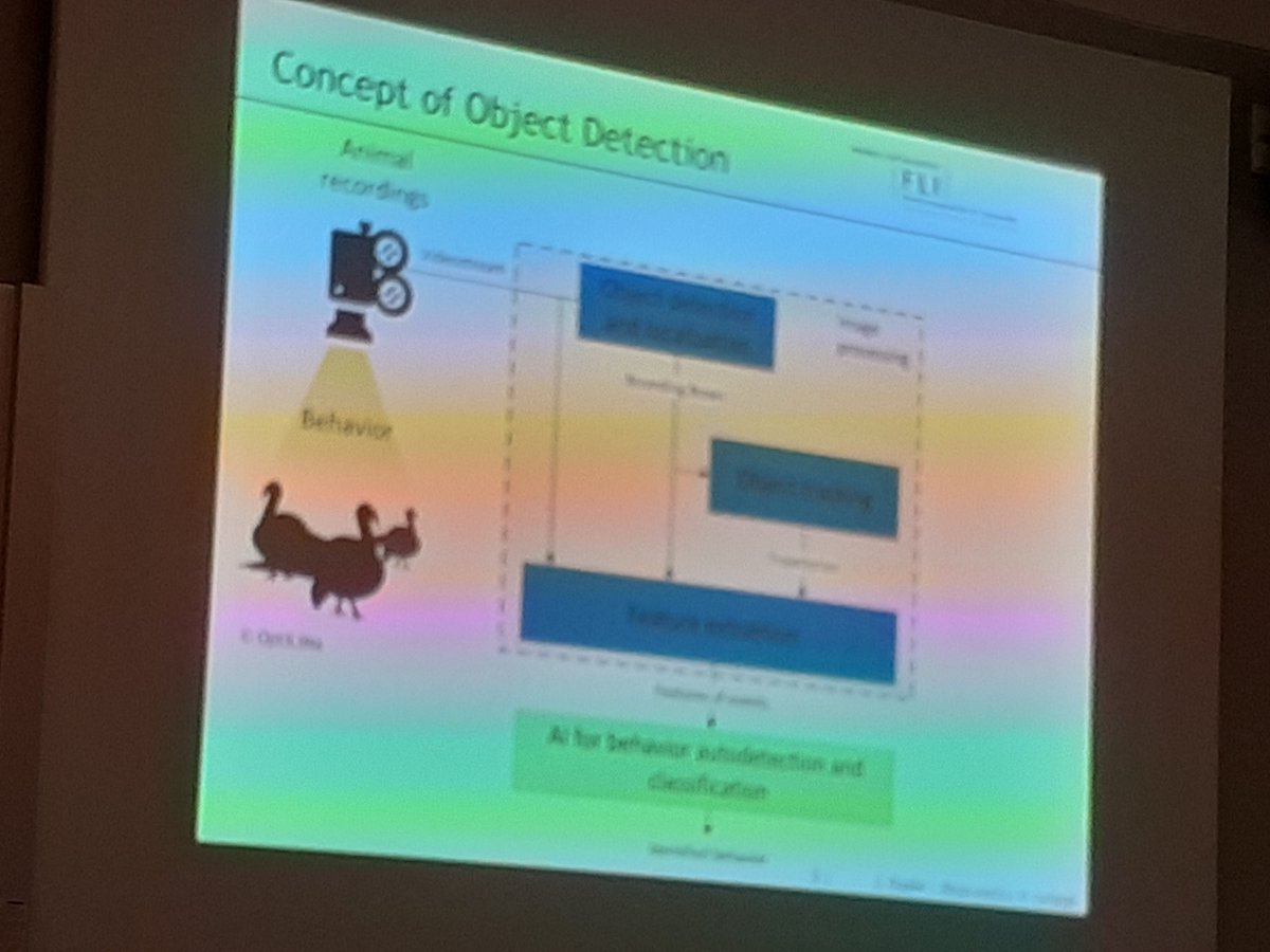 DZG section Behavioural Biology tweet media