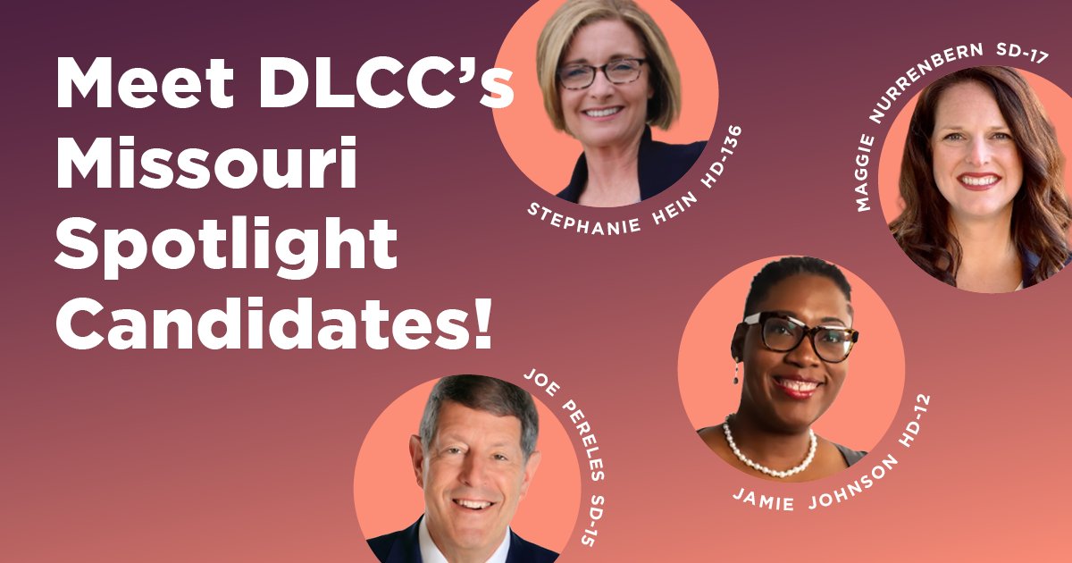 Democratic Legislative Campaign Committee tweet media