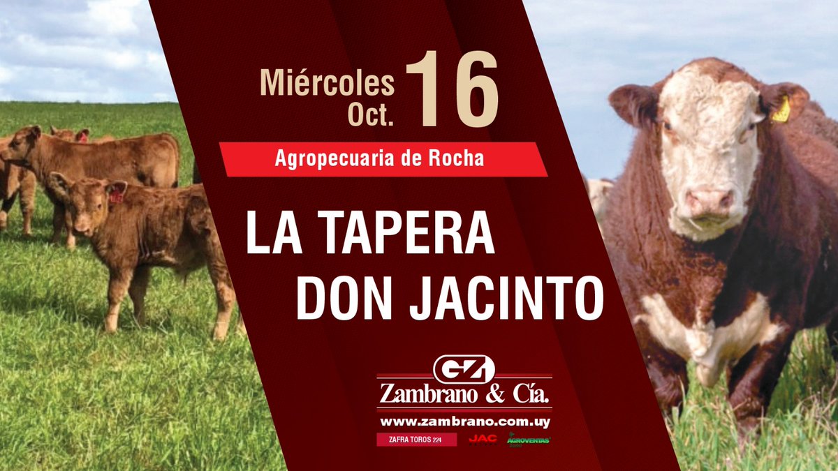 Zambrano & Cía. tweet media