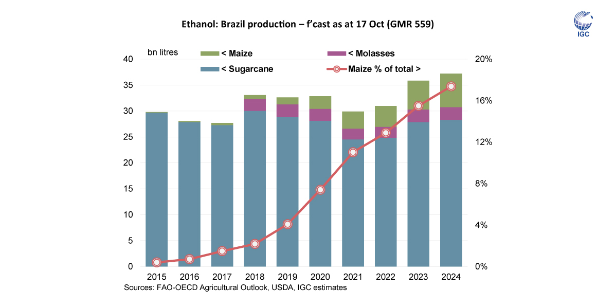 The October #GrainMarketReport will also include a special feature on #global #ethanol #production. #Brazil’s ethanol #output is expected to rise again, with the share of #maize (#corn) forecast higher y/y in 2024.