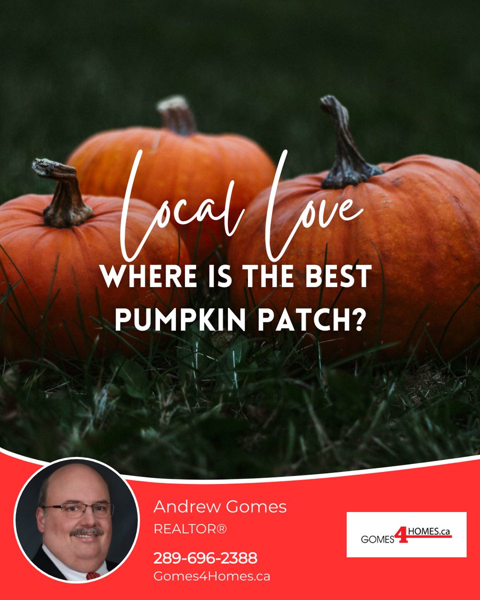gomes4homes's tweet image. Pumpkin patch season is here! Whether you're picking pumpkins or enjoying a hayride, I want to know:

What’s your favorite local pumpkin patch? Drop your recommendations below! 

#gomes4homes #royallepagenrc #niagarahomes #renttoown #SRES #seniorsrealestate #heretohelp