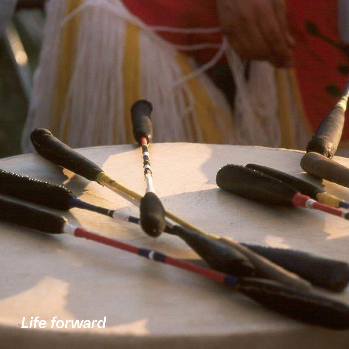 In partnership with Bimaadzwin and Indigenous health policy leaders, PATHWAYS pilot projects are helping transform healthcare for Indigenous communities in Canada. Learn more: boehringer-ingelheim.com/ca/indigenous-…
 #Lifeforward #IndigenousHealth #HealthcareEquity